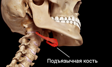 Подъязычная кость